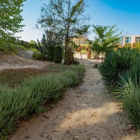 Menada Dune
